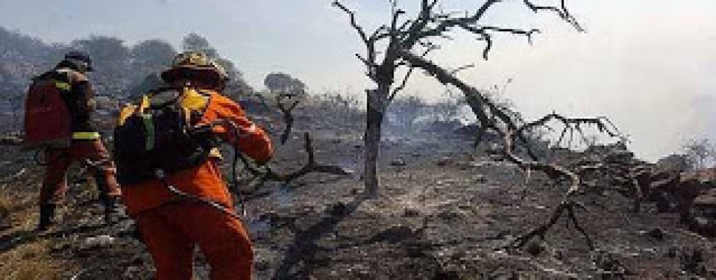 03+Especial+sobre+los+incendios+de+las+sierras