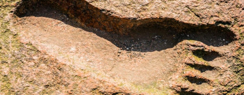 1005.h.extra_.huellayeti