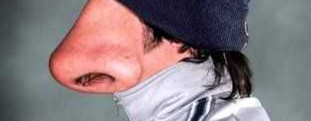 8c0d3e3a13abe6249704cf29d867cb00