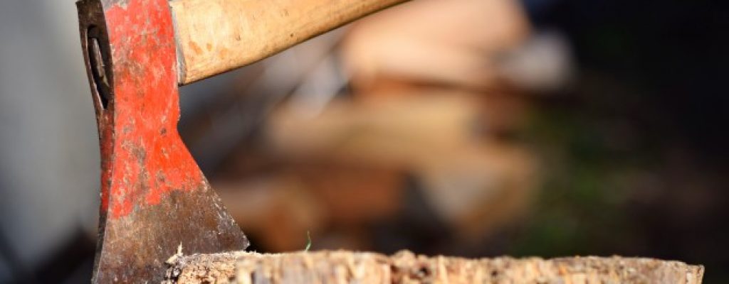 hacha-mano-arbol-trozo_1161-134